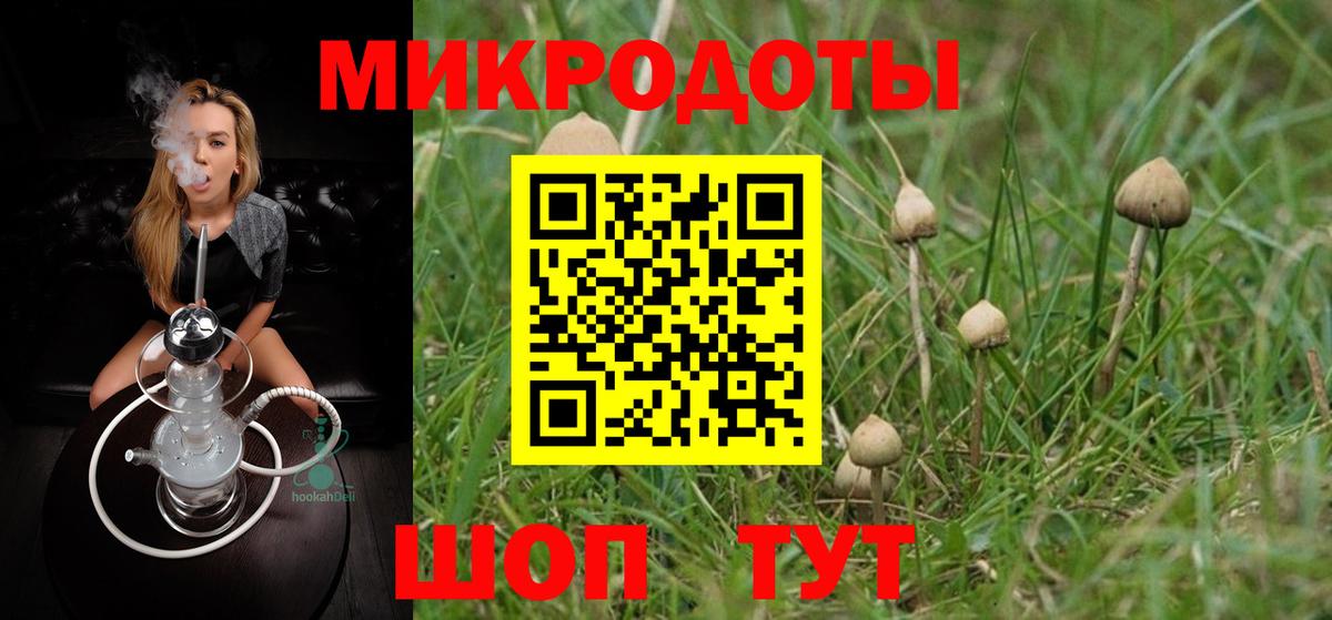 Чистополь  Галлюциногенные грибы Psilocybine cubensis  Вход с VPN 